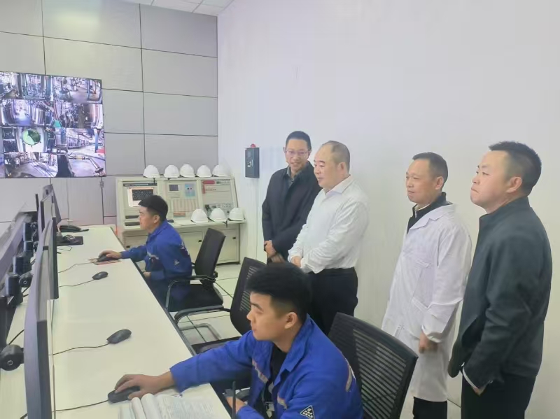 黔江区委副书记、区政府区长骆高燕一行莅临科瑞南海调研指导工作(图1)